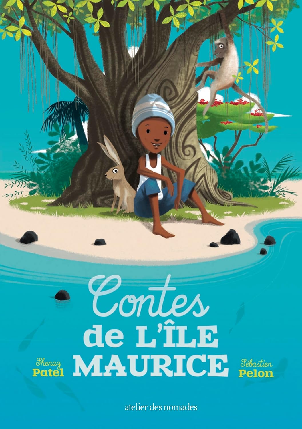 Couverture du livre Contes de l'île Maurice