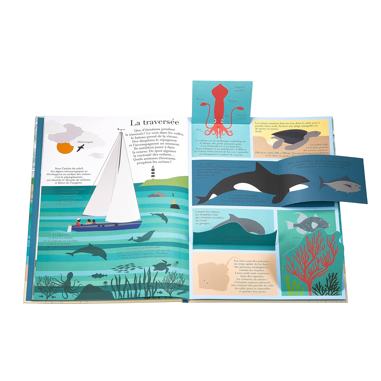 Image numéro 2 provenant du livre À la mer